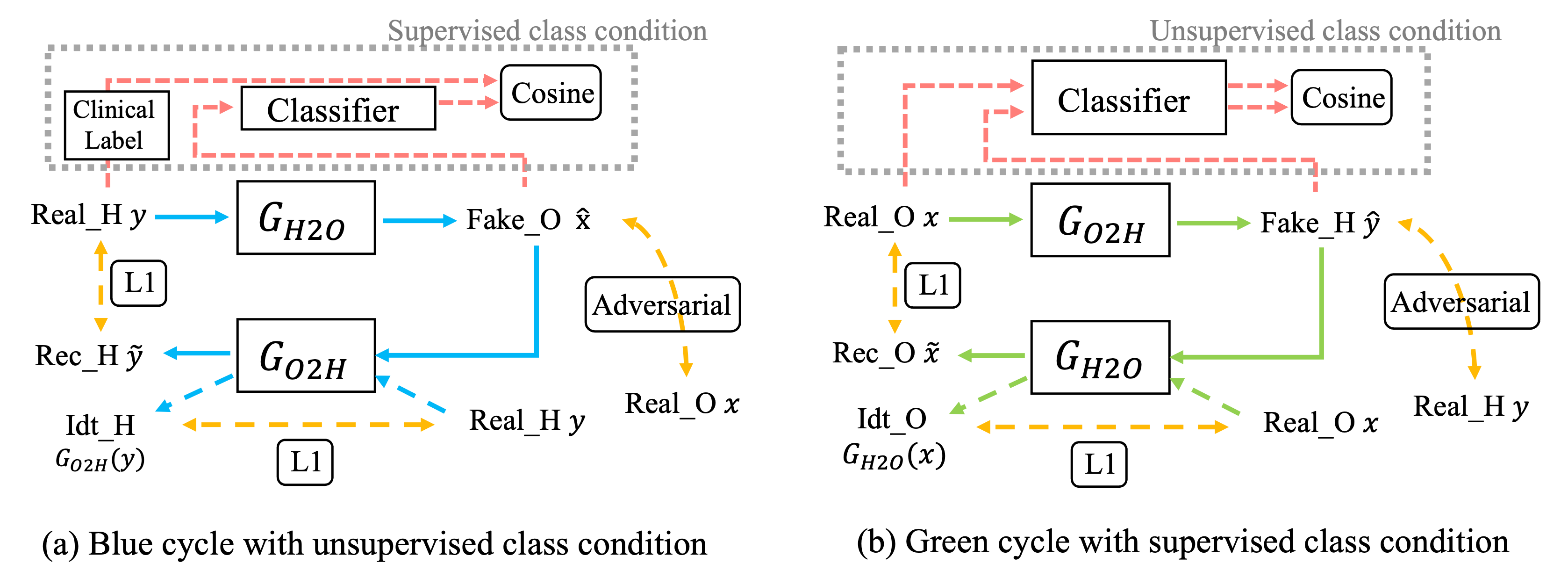 The disassembly diagram showing the blue (a) and green (b) cycles, respectively, with the proposed supervised (a) and unsupervised (b) class constraints. In short, we apply a pretrained classifier $cls(\cdot)$ to the transferred image and enforcing it to remain within the same class.