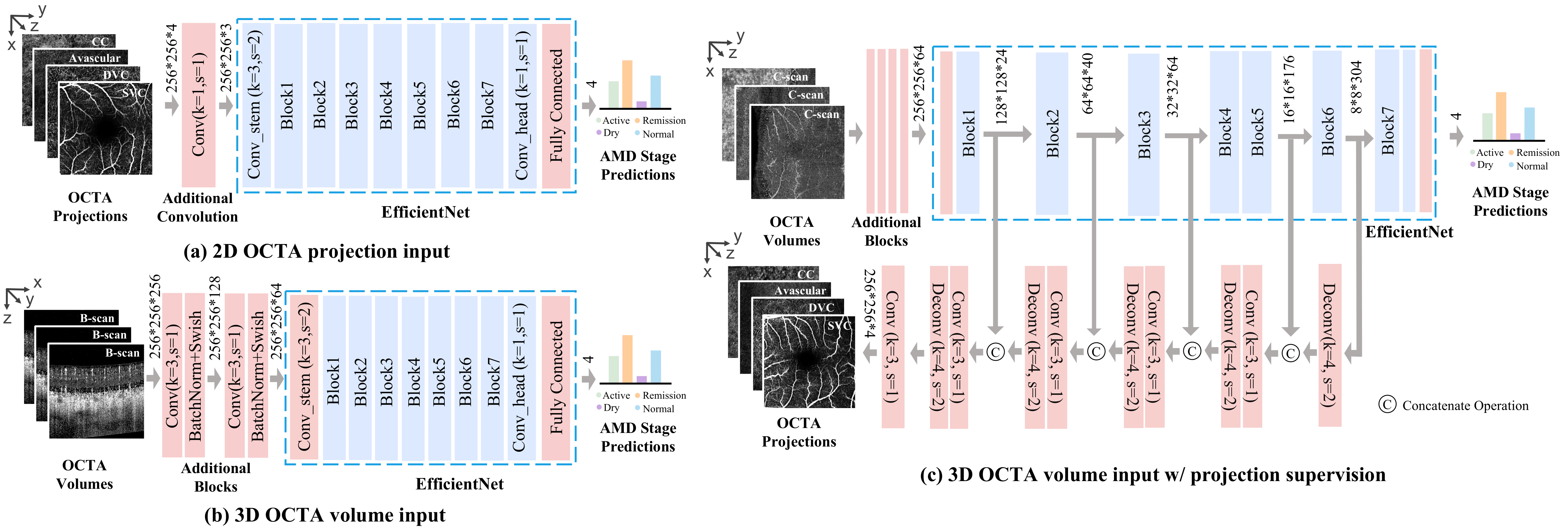 The proposed network structures for (a) 2D projections, (b) 3D volumes and (c) 3D volumes with 2D projection supervision. The layers in blue have pretrained weights while those in red are trained from scratch.